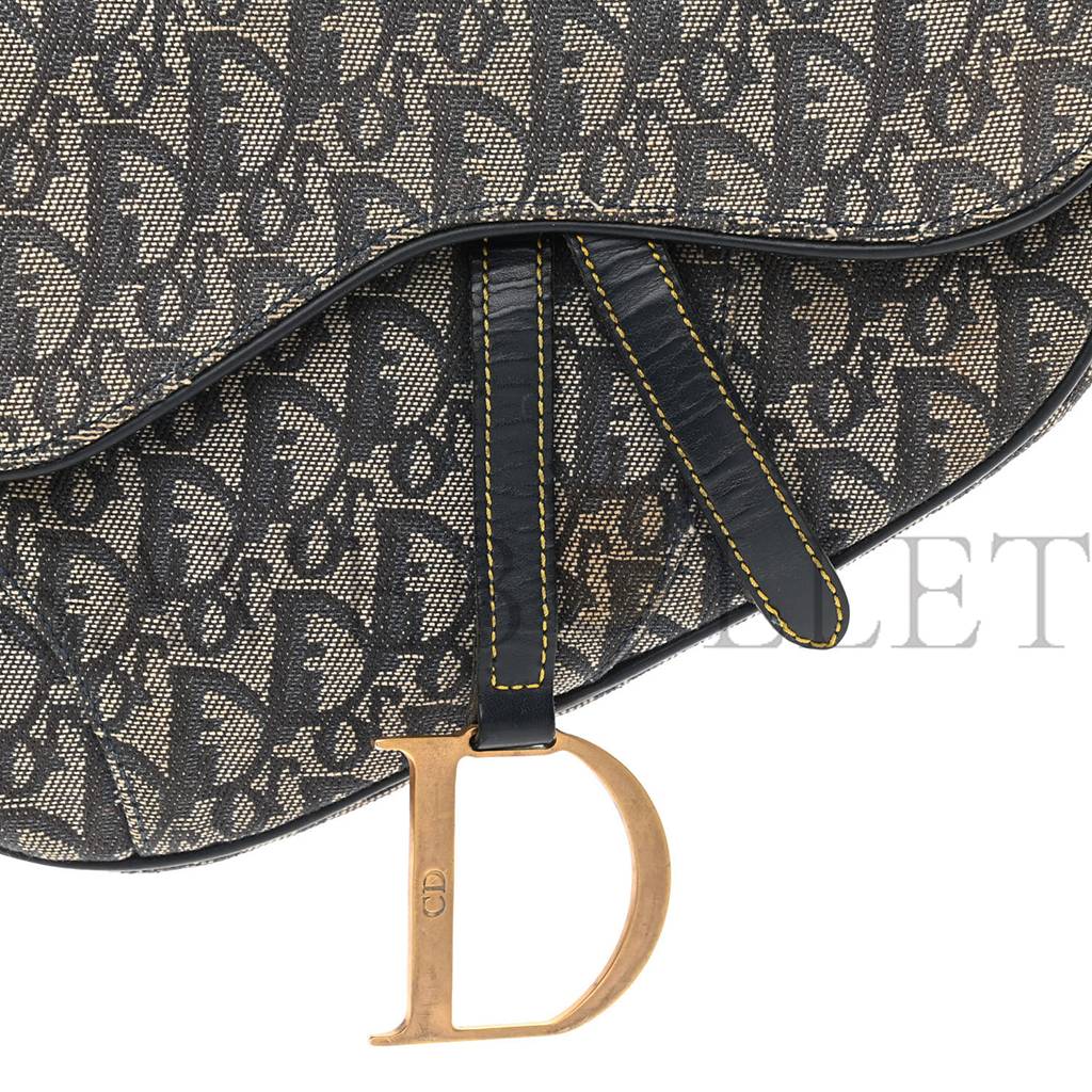 DIOR MONOGRAM SADDLE BAG BLUE (20*19*2.5cm)